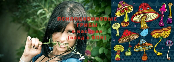первитин Гусь-Хрустальный