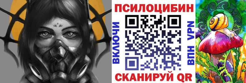 Купить  Новоржев  Псилоцибиновые грибы Cubensis 