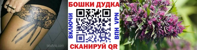 Купить где Новоржев Бошки Шишки MAZAR